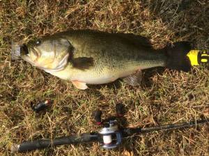 12032101_540508962763522_8205293271244907314_n