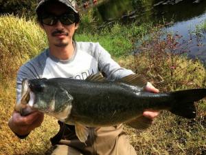 12049182_540508926096859_7638893401452794018_n