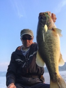 o0480064013451039315