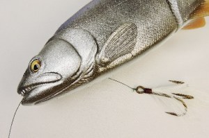 o0500033313450594493