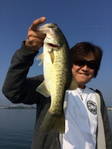 o0720096013460549133