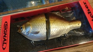 o0800045013442784448