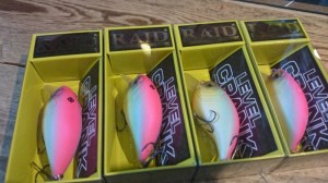 o0800045013454916908