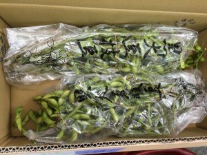 o0800060013457634109