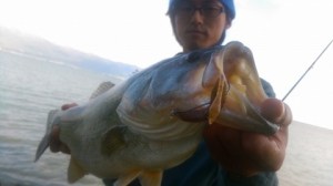 o0480027013495037582