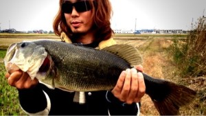 o0480027113497601625