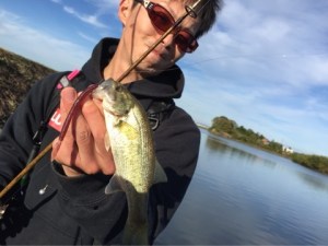 o0480036013481046630