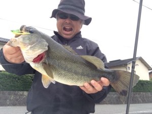 o0480036013485104774