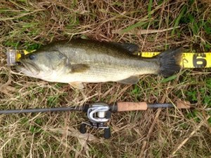 o0480036013497601647