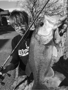 o0480064113480853154