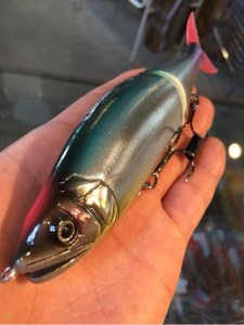 o0480064113495496853