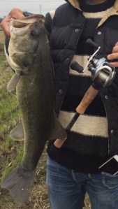 o0480085213497601660