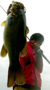 o0480085613480350325