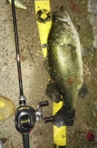 t02200336_0314048013480969138