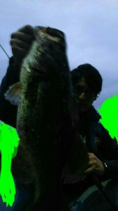 t02200391_0729129613480970849