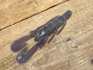 o0480036013498609728