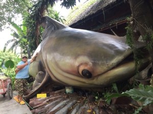 o0480036013511428433