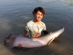 o0480036013512219949