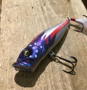 o0480049513504063616