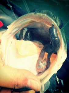 o0480064013498609719