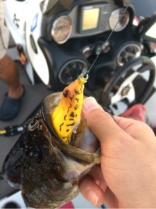 o0480064113499811650