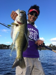 o0480064113499811686