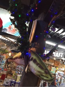 o0480064113504880655