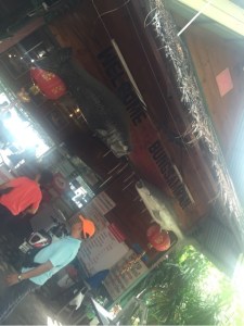 o0480064113511448645