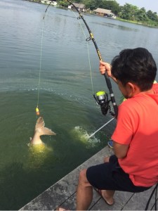 o0480064113511522695