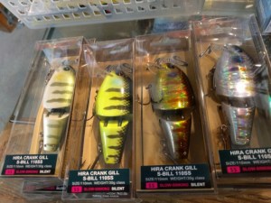 o0800060013503207550