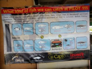 o0800060013513443502