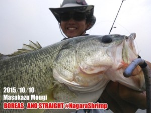 o0480036013565830322