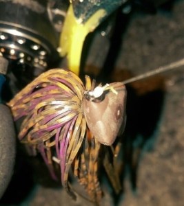 o0480054013579045294