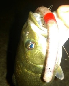 o0480060313579045277