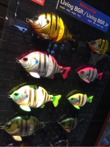 o0480064113572342256