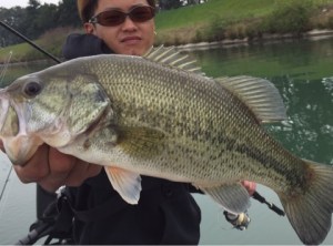 o0480035613606502740