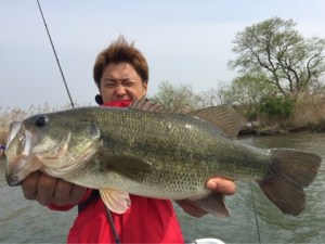 o0480036013606502635