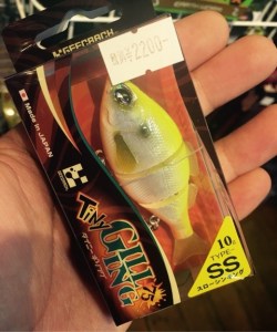 o0480057613597050995