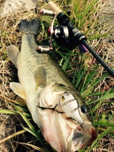 o0480064013597051021