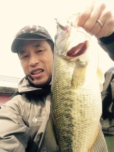 o0480064013597051457