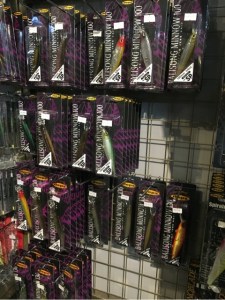 o0480064113591319696