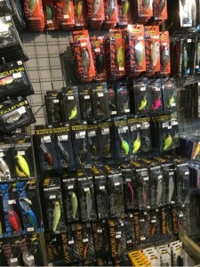 o0480064113591319707