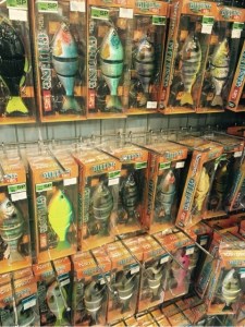 o0480064113597051009