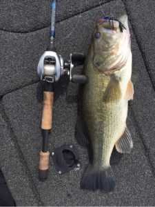 o0480064113606502671