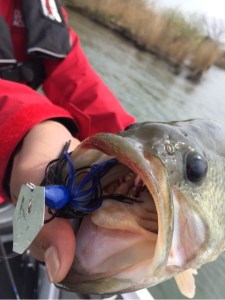 o0480064113606502719