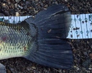 o0338026813623454668