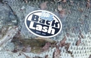 o0363023313611366560