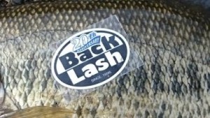 o0390022013617696616