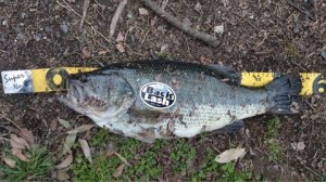 o0480027013611366543