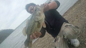 o0480027013611366593